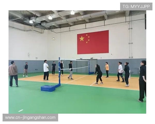 专业解读：成都排球队的运营打法